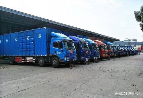 车队长在国际货代业务中的高效车队管理策略